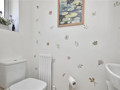 Picture 10
